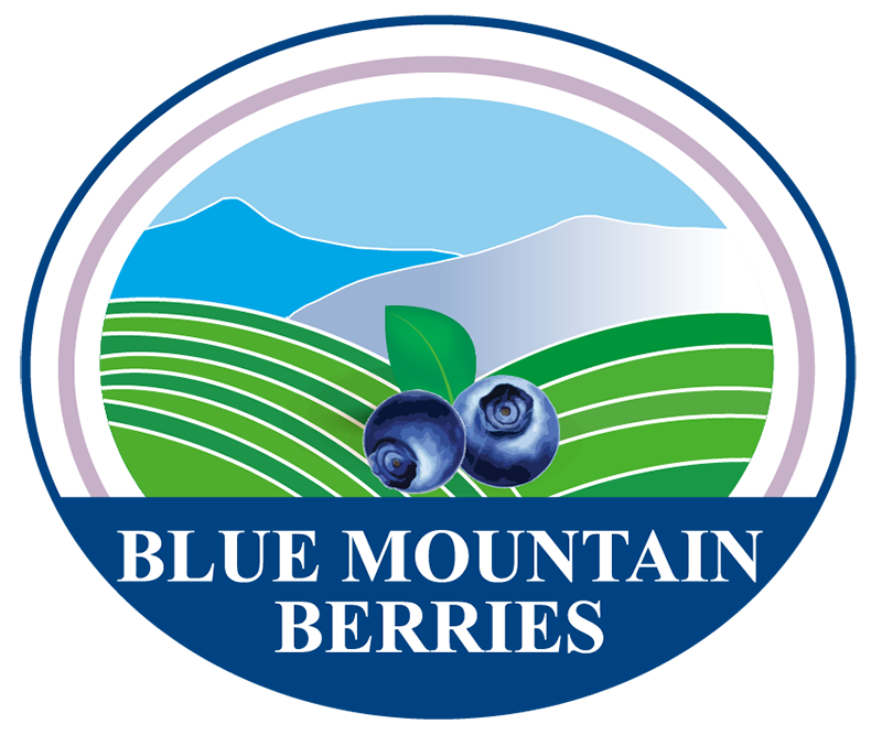 Blue Mountain Berries Logo